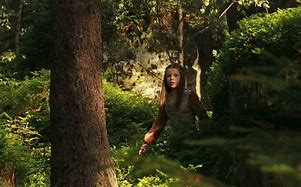 Image result for Chronicles of Narnia Prince Caspian Lucy