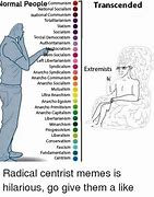 Image result for Centrist Brain Meme
