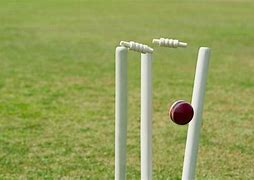 Image result for Cricket Stumps Hit by Ball