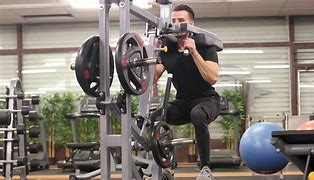 Image result for Promaxima Leverage Squat Good Mornings
