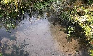 Image result for Bubbling Spring Water