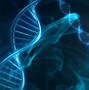 Image result for What Is a DNA Palindrome