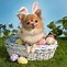 Image result for Cute Easter Background Images