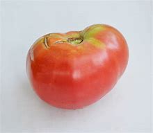 Image result for Love Apple Tomato