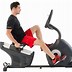 Image result for Best Recumbent Exercise Bike