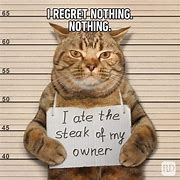 Image result for Say What Cat Meme