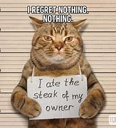 Image result for New Funny Cat Memes