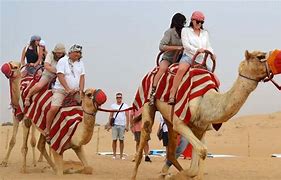 Image result for Dubai Desert Safari Camel Ride