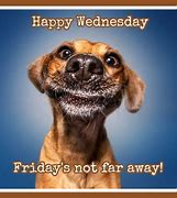 Image result for Happy Wednesday Dog Meme