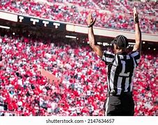 Image result for American Football Referee Funny