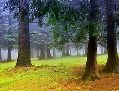 Image result for Outdoor Products Plain Background