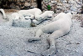 Image result for Pompeii Volcano Bodies
