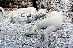 Image result for Bodies Found in Pompeii