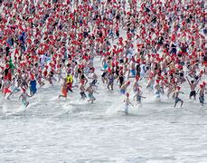 Image result for New Year's Day Ocean Swim