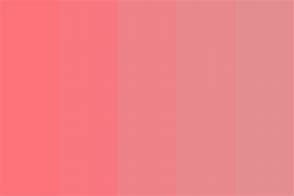 Image result for Apple Company Color Palette