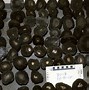Image result for Seabed Nodules