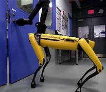 Image result for Boston Robotics