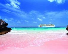 Image result for Pink Sand Beach Background