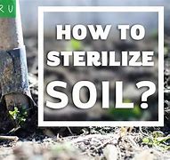 Image result for Soil Sterilizer