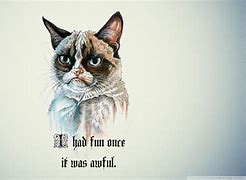 Image result for Funny Cat Sayings Desktop Wallpaper