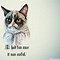Image result for Funny Cat iPad Wallpapers