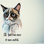 Image result for Funny Cat Wallpaper