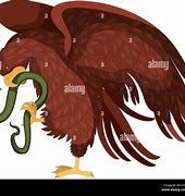 Image result for Aguila Comiendo Serpiente Animada