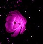 Image result for Pink Neon Art