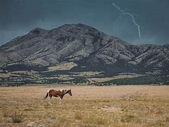 Image result for Mustang Thunderstorm Live Wallpaper