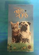 Image result for Milo Otis VHS
