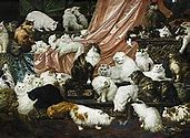 Image result for 2 Persian Cats