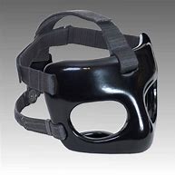 Image result for Wrestling Mask Headgear