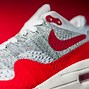 Image result for Nike Air Max Trainer 1