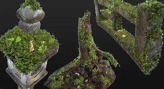 Image result for 3D Moss Art