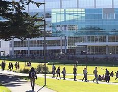 Image result for SFSU University