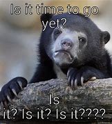 Image result for Is It in yet Meme