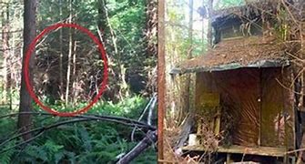 Image result for MNT Man Finds Boysin Woods Cabin