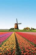 Image result for Beautiful Gardens Amsterdam Netherlands