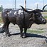Image result for Mexican Bull