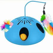 Image result for Cat Toys for Indoor Cats Adult