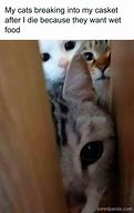 Image result for Room for Cats Meme