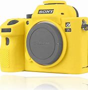 Image result for Sony A7r3