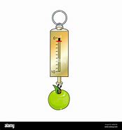 Image result for Bag of Apple's Newton Metre