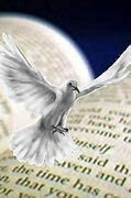 Image result for Bible and Holy Spirit