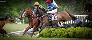 Image result for Golf Cart Steeplechase