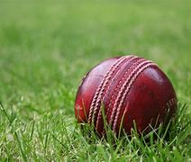 Image result for Cricket T20123456