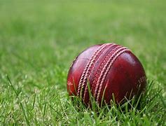 Image result for Cricket Project Pics
