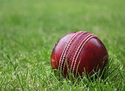 Image result for Cricket Project Class 11 On Chart Paper