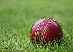 Image result for Cricket Images for Project