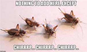 Image result for Nothing but Crickets Meme